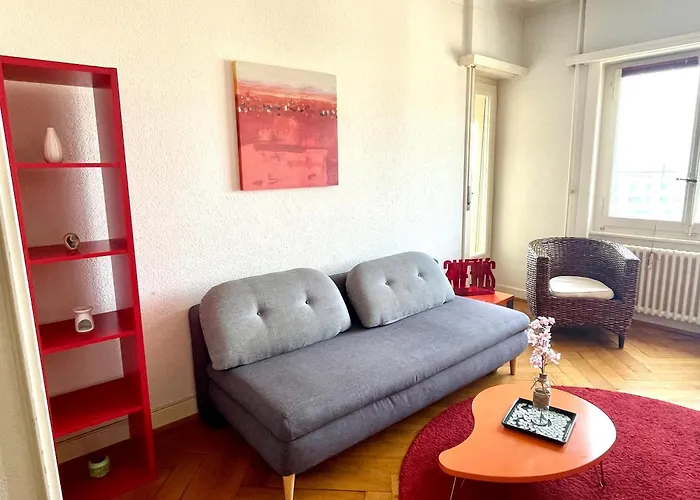 La Proximite Du Centre Avec Vue 洛桑